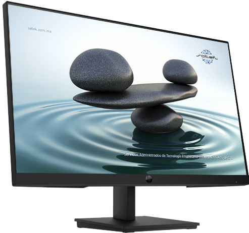 HP P24vG5